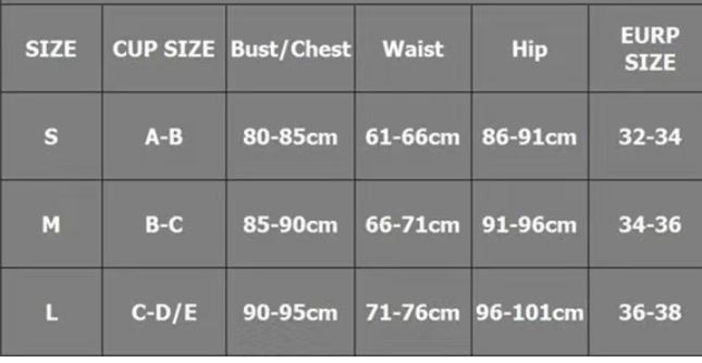 Sara Lace Tube Top Bikini