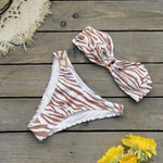 Brown Zebra Stripe bikini 